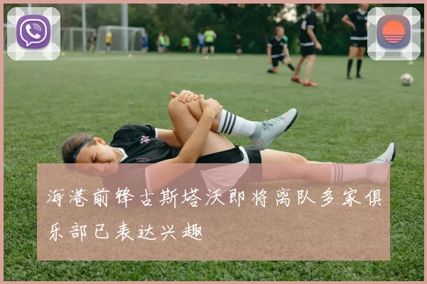 海港前锋古斯塔沃即将离队多家俱乐部已表达兴趣