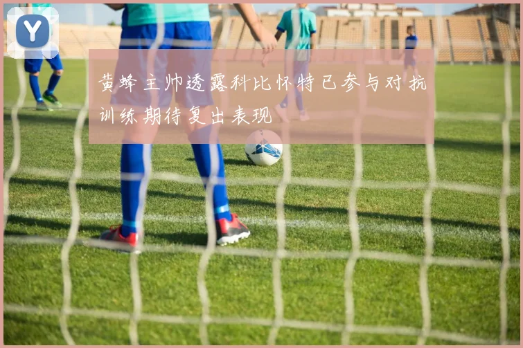 黄蜂主帅透露科比怀特已参与对抗训练期待复出表现