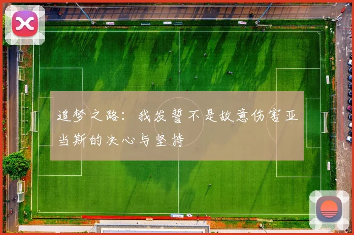 追梦之路：我发誓不是故意伤害亚当斯的决心与坚持